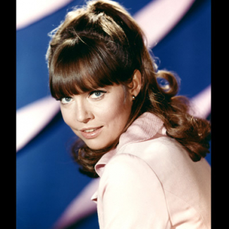 Barbara Feldon