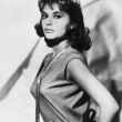 Gina Lollobrigida