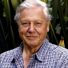 David Attenborough