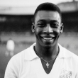 PELE